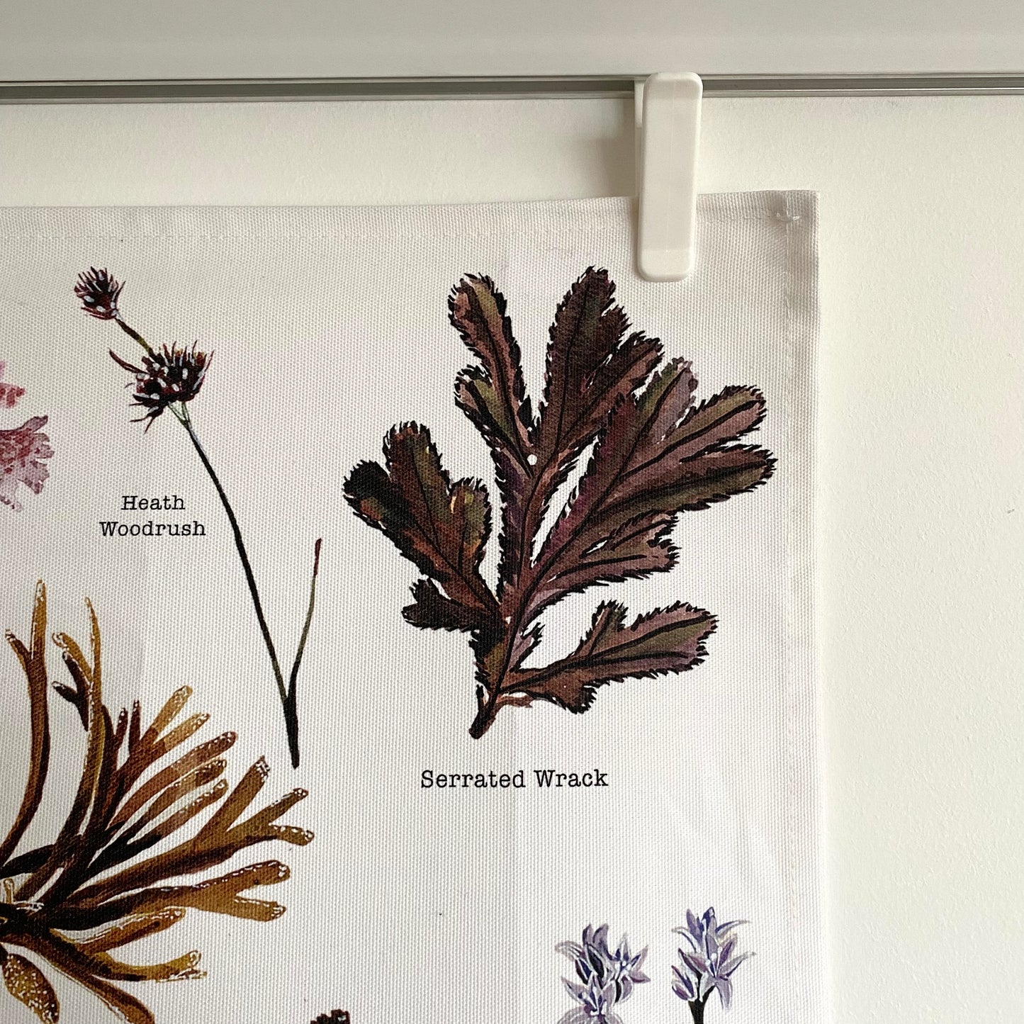 Tea Towel - Shetland Wild Flowers & Seaweeds