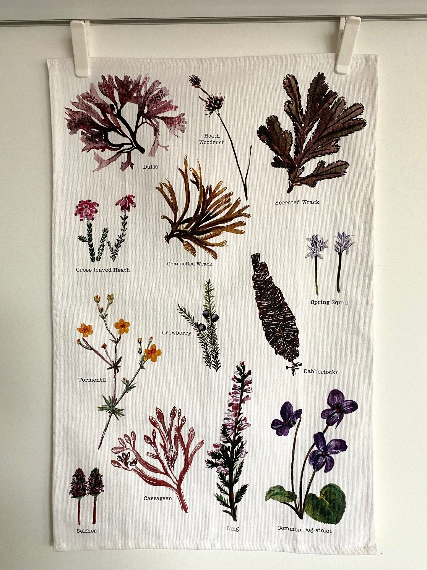 Tea Towel - Shetland Wild Flowers & Seaweeds