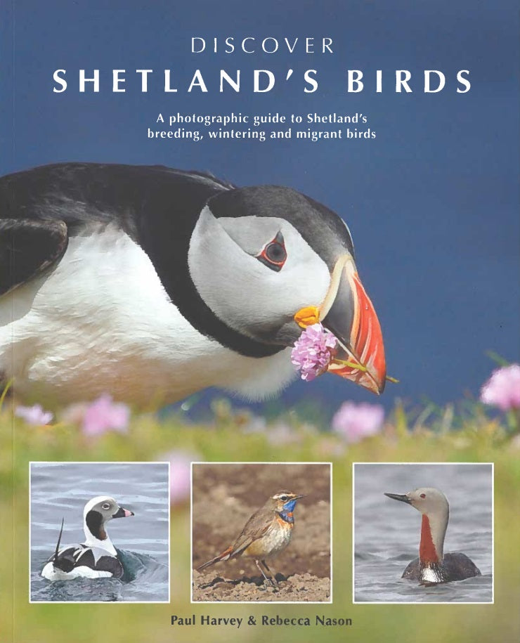Discover Shetland's Birds