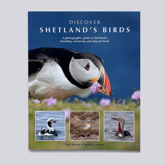 Discover Shetland's Birds