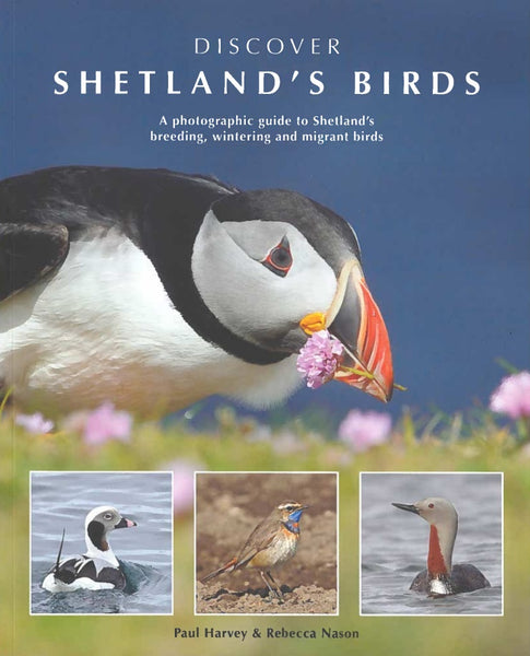 Discover Shetland's Birds