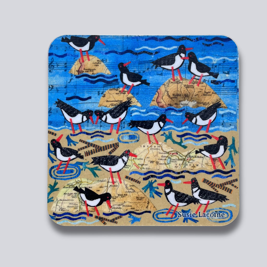 Flock of Oystercatchers Coaster