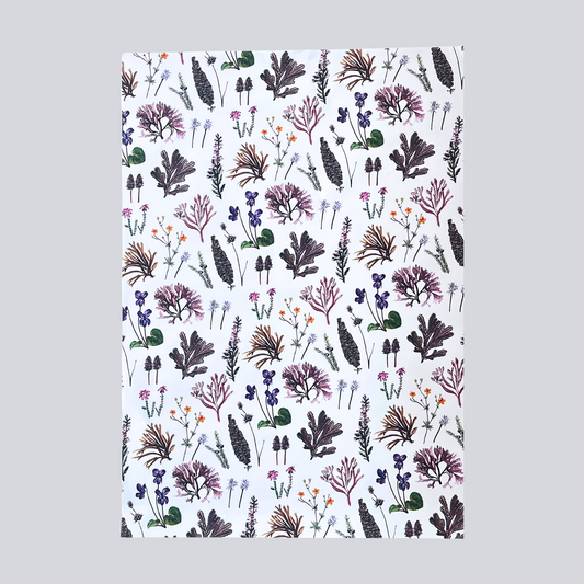 Wrapping Paper - Shetland Wild Flowers & Seaweeds