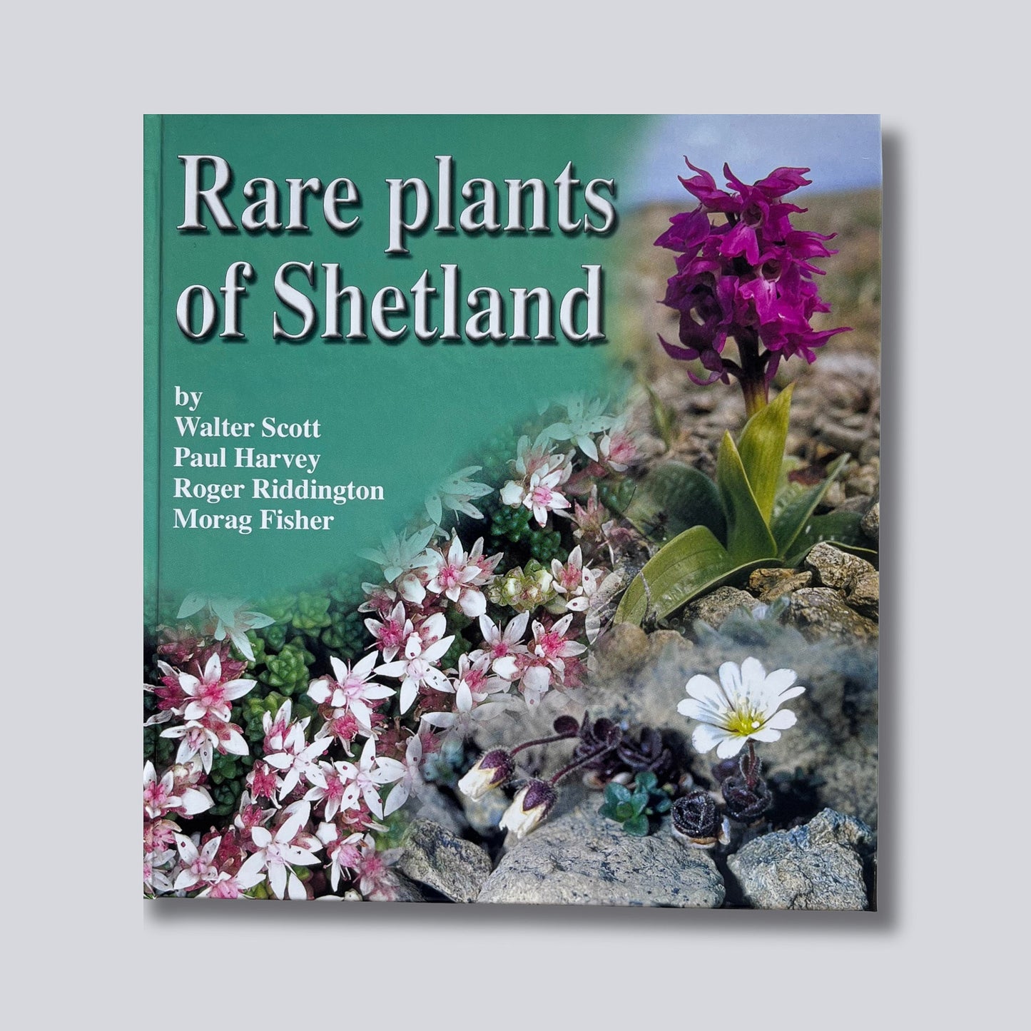 Rare Plants of Shetland