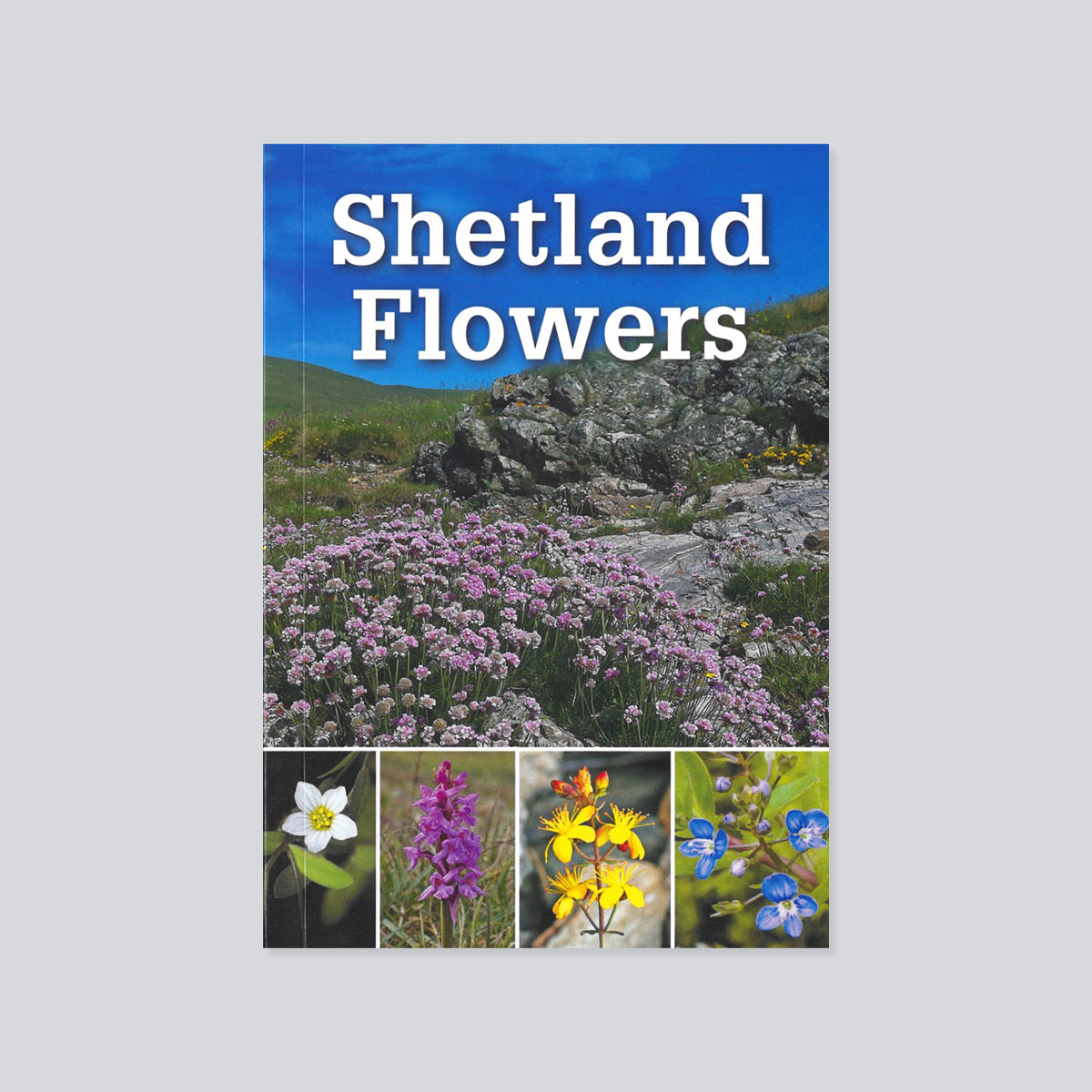 Shetland Flowers