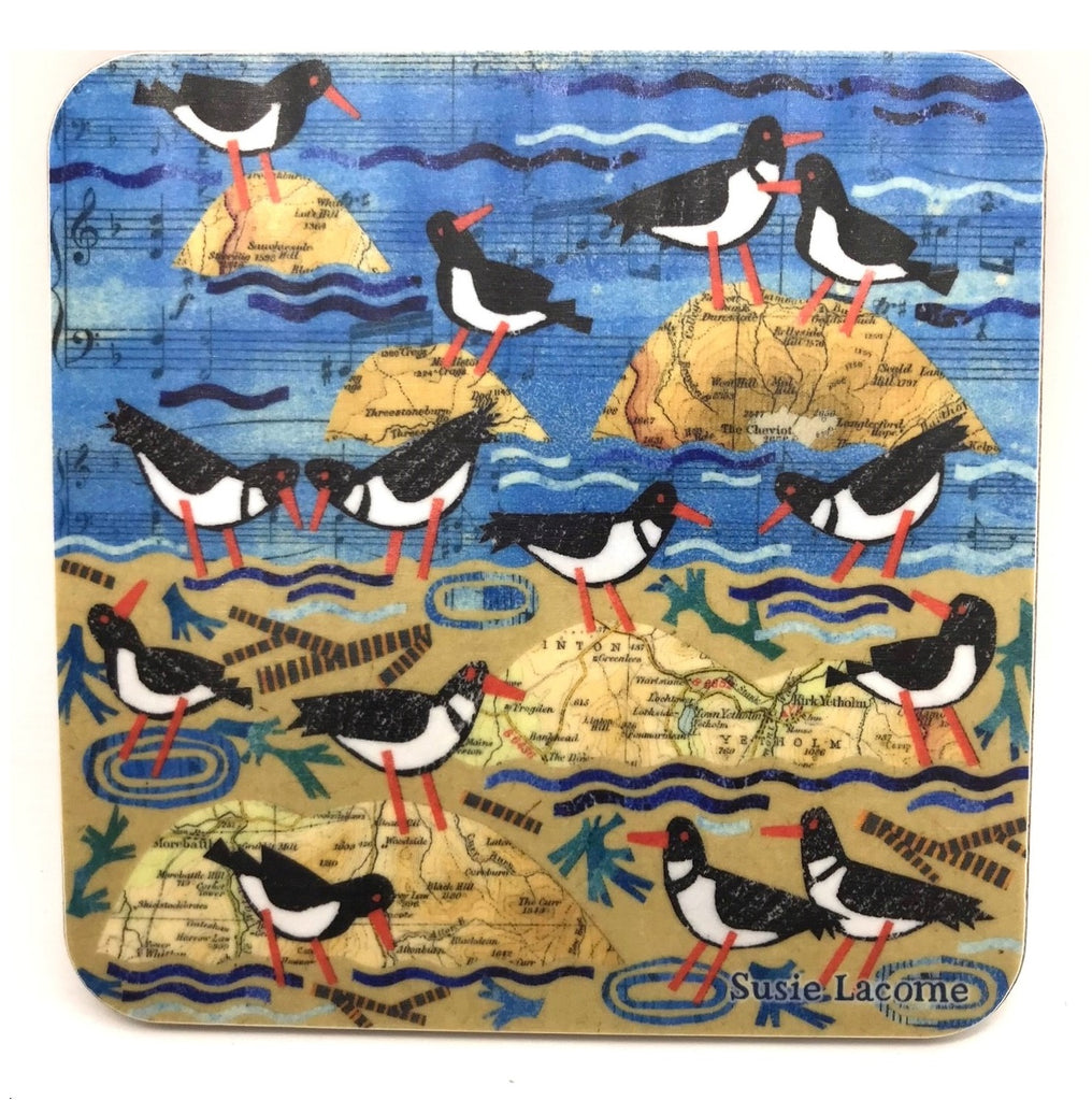 Flock of Oystercatchers Coaster