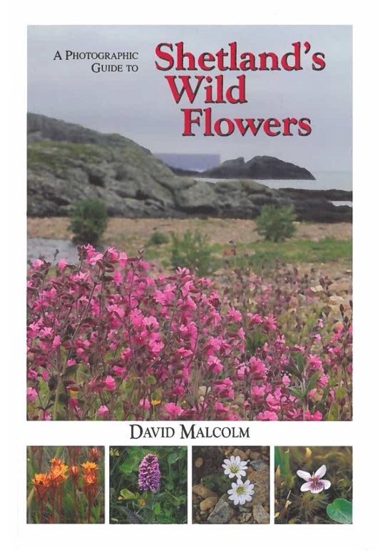 A Photographic Guide to Shetland's Wild Flowers - David Malcolm